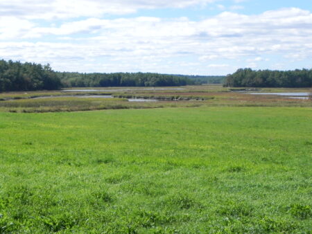 Views looking south across the fields and salt marsh of the Smelt Brook Preserve.