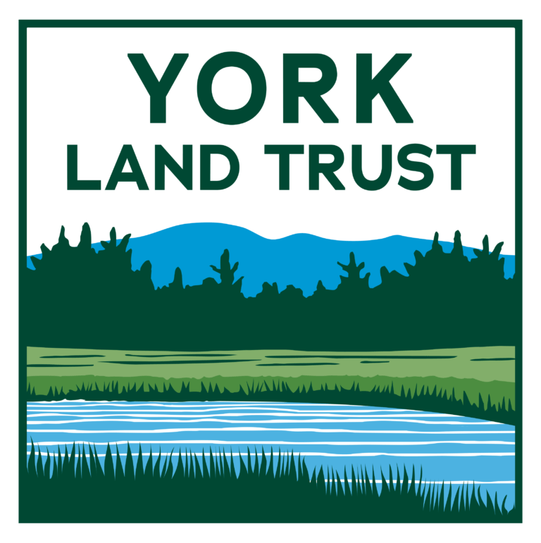 York Land Trust Conducts Sustainable Harvests On Its Preserves York Land Trust 0649